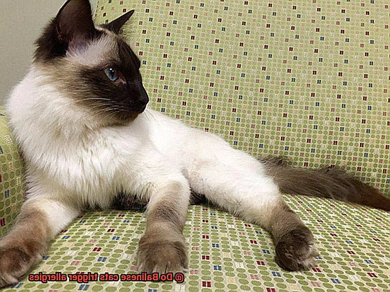 Do Balinese cats trigger allergies 7560082506