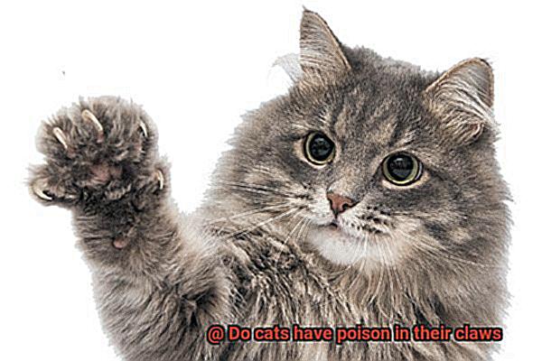 Do cats have poison in their claws-8