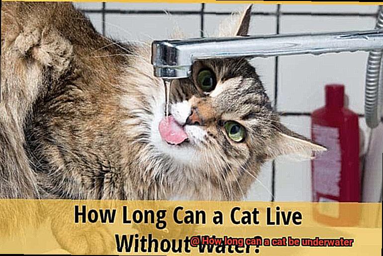 How long can a cat be underwater-2