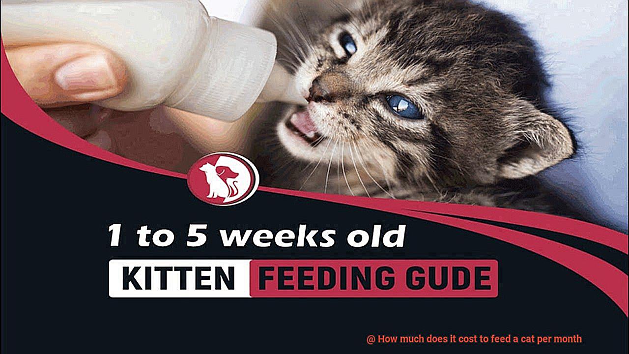 How much does it cost to feed a cat per month-4