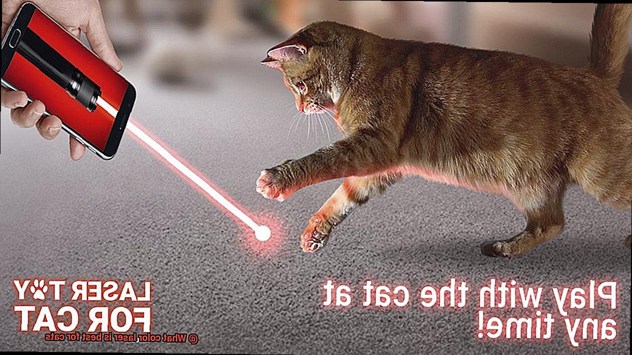 What color laser is best for cats-8