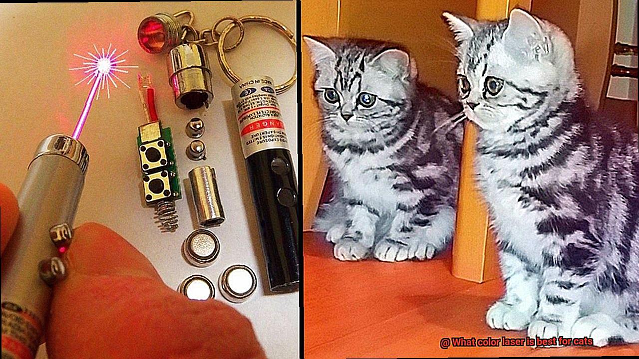 What color laser is best for cats-4