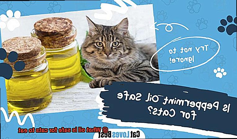 What oil is safe for cats to eat-7