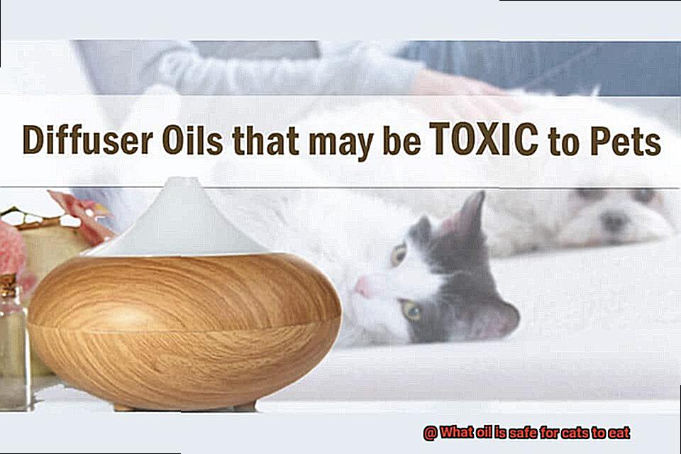 What oil is safe for cats to eat-3