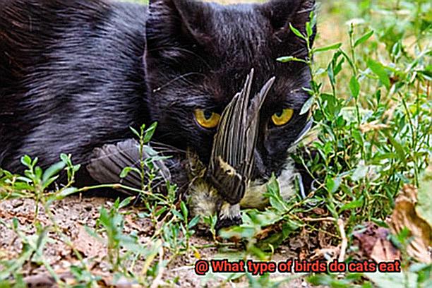 What type of birds do cats eat-5