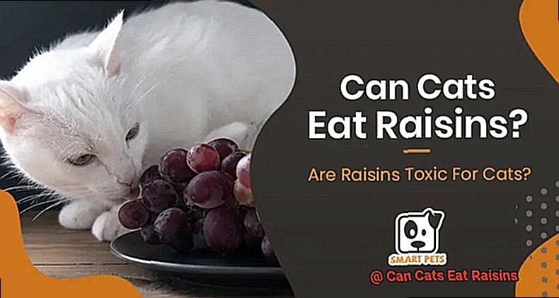 Can Cats Eat Raisins-3