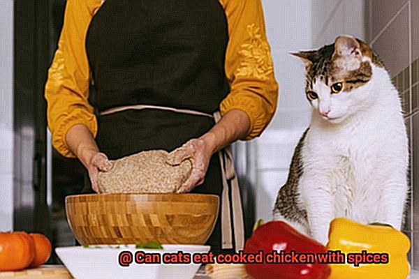 Can cats eat cooked chicken with spices-2