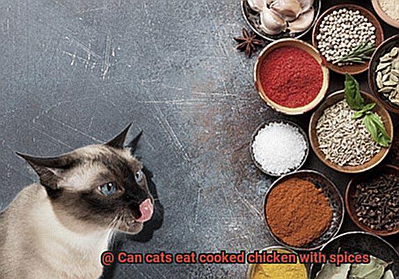 Can cats eat cooked chicken with spices-3