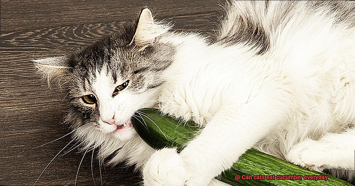 Can cats eat cucumber everyday-4