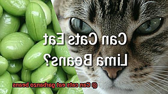 Can cats eat garbanzo beans-3