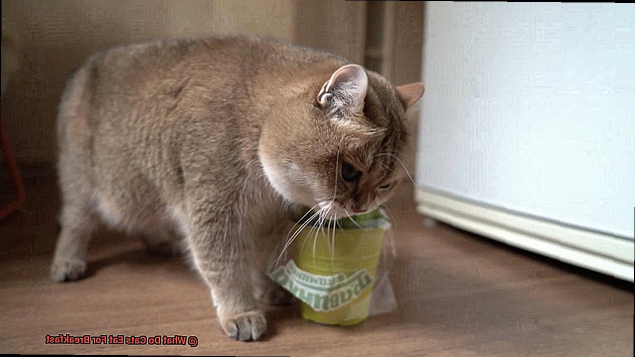 What Do Cats Eat For Breakfast-2