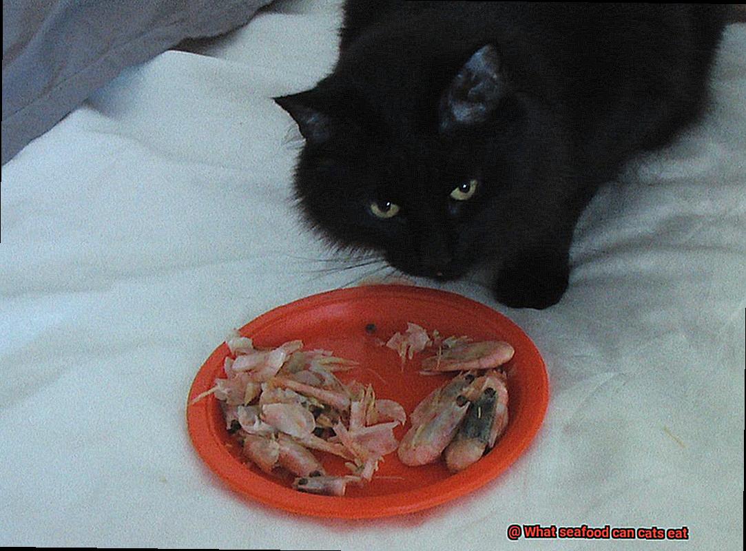 What seafood can cats eat-3