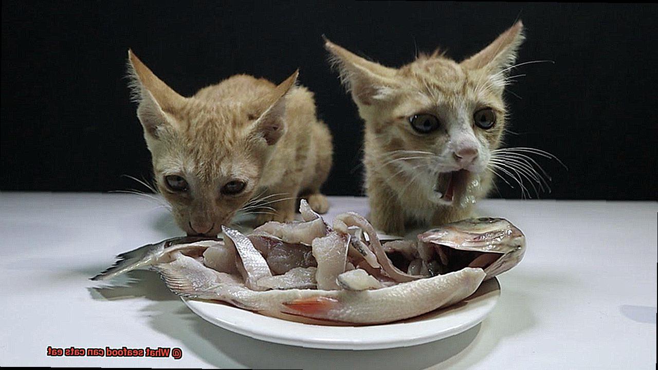 What seafood can cats eat-4