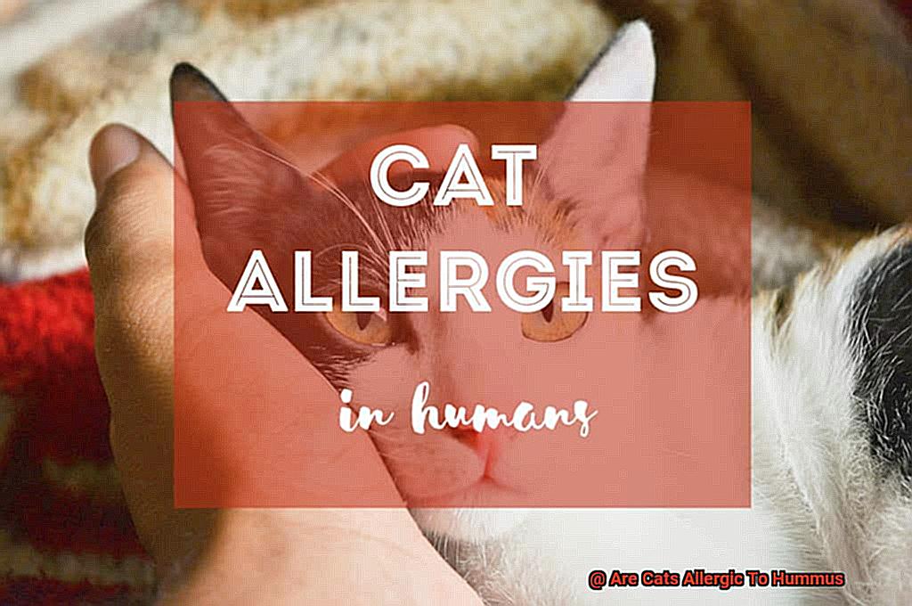 Are Cats Allergic To Hummus-2