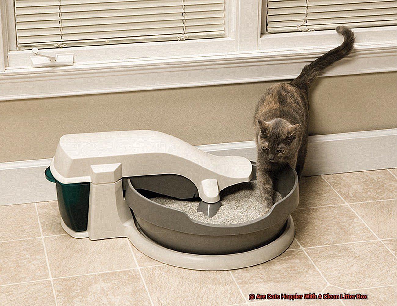Are Cats Happier With A Clean Litter Box-2
