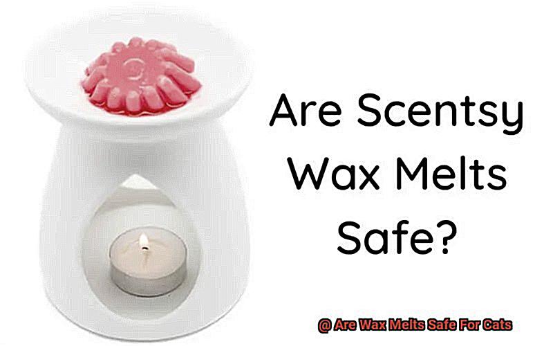 Are Wax Melts Safe For Cats-4