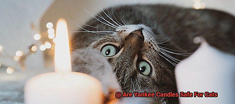 Are Yankee Candles Safe For Cats-2