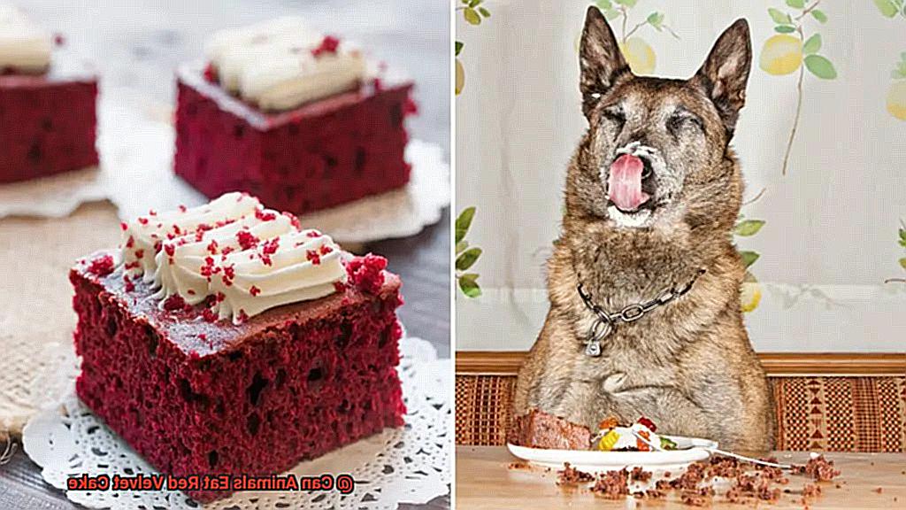 Can Animals Eat Red Velvet Cake-2