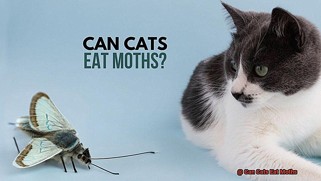 Can Cats Eat Moths-2