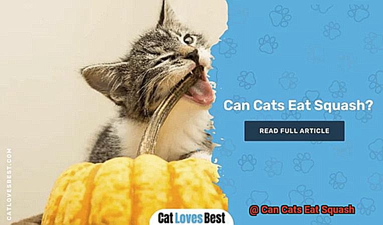 Can Cats Eat Squash-4