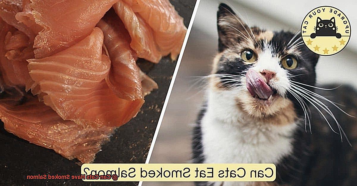 Can Cats Have Smoked Salmon-2