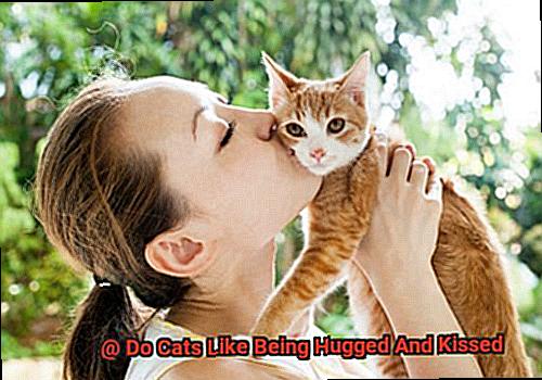 Do Cats Like Being Hugged And Kissed-2