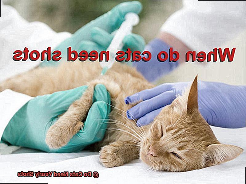 Do Cats Need Yearly Shots-2