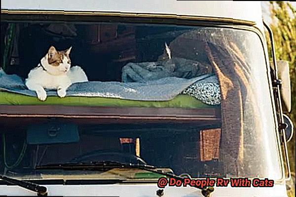Do People Rv With Cats-2