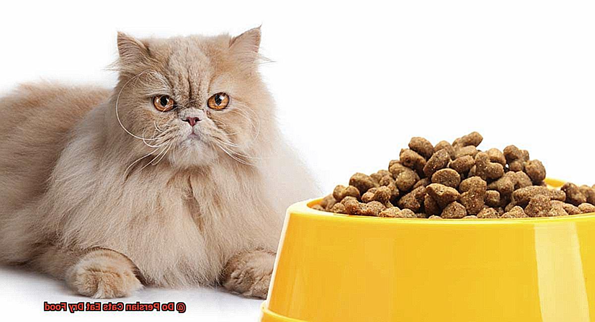 Do Persian Cats Eat Dry Food-2