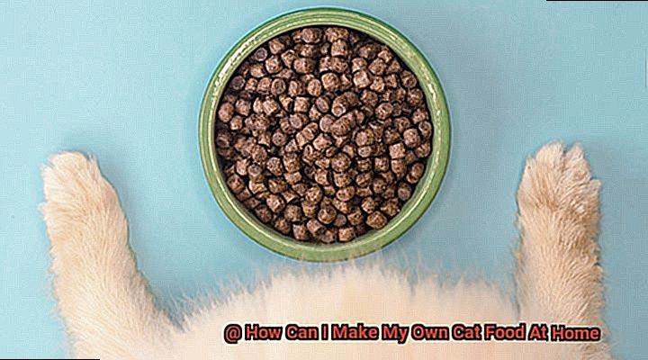 How Can I Make My Own Cat Food At Home? - 21Cats.org