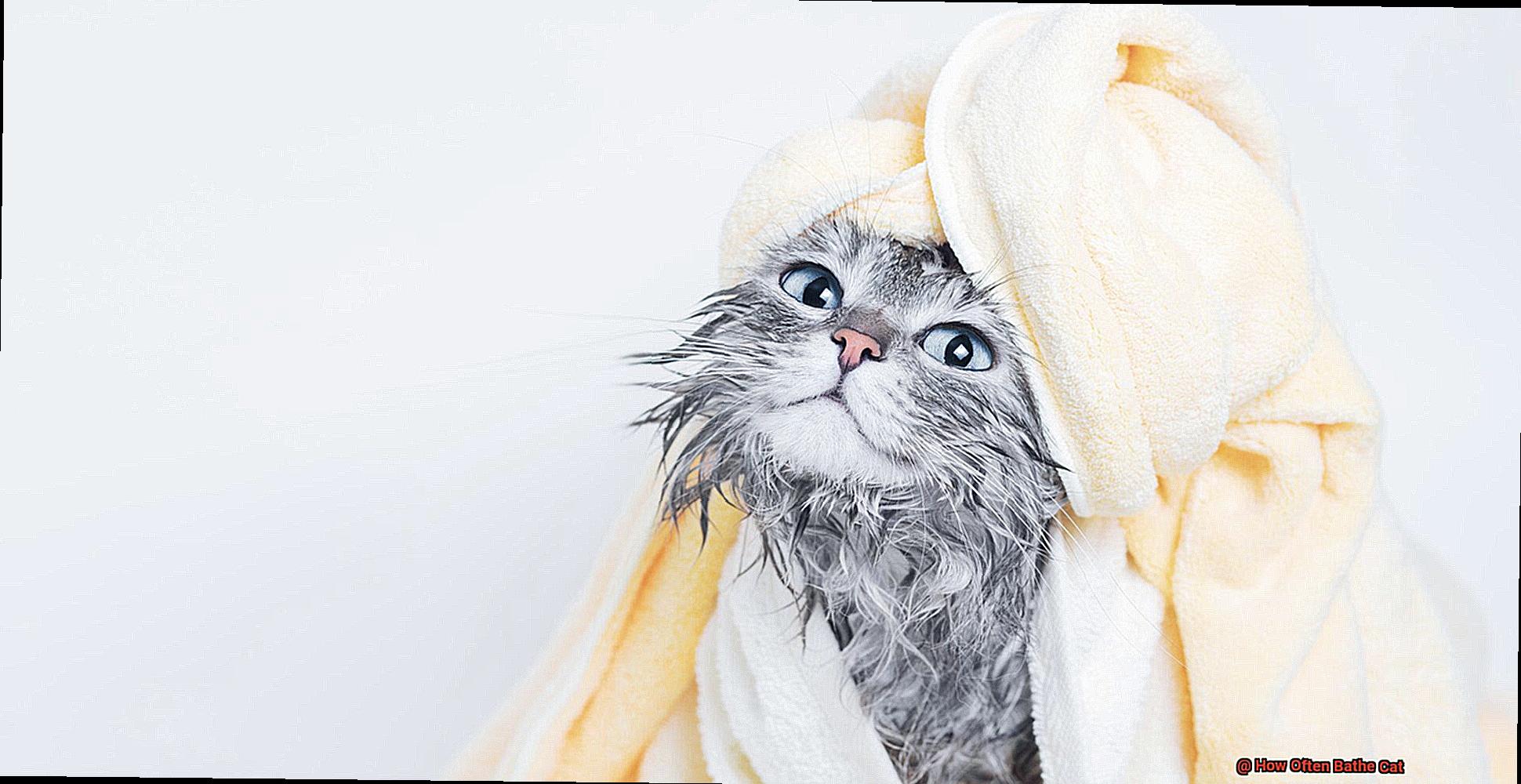 How Often Bathe Cat-6