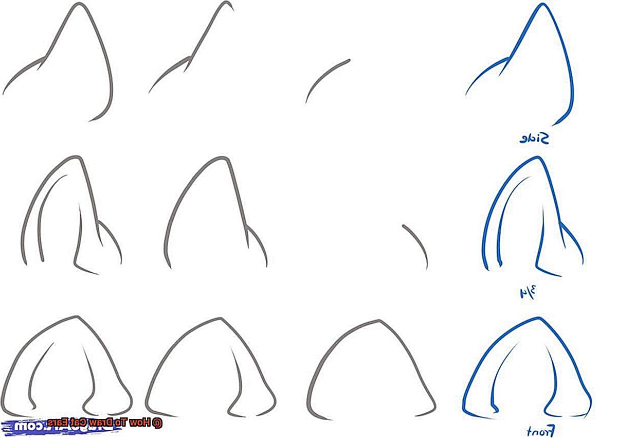 How To Draw Cat Ears-2
