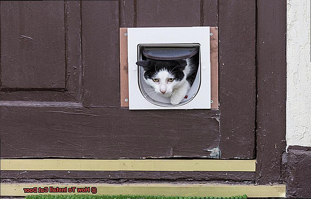 How To Install Cat Door-2