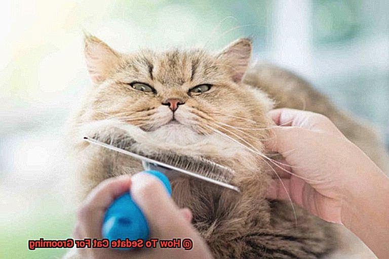 How To Sedate Cat For Grooming-2