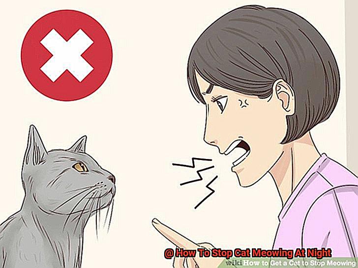 How To Stop Cat Meowing At Night-4