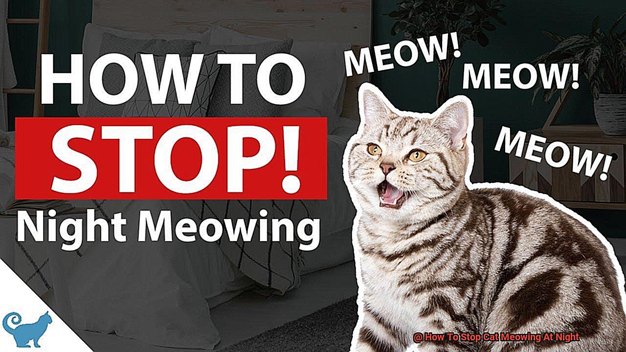 How To Stop Cat Meowing At Night-3