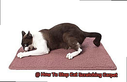 How To Stop Cat Scratching Carpet-4
