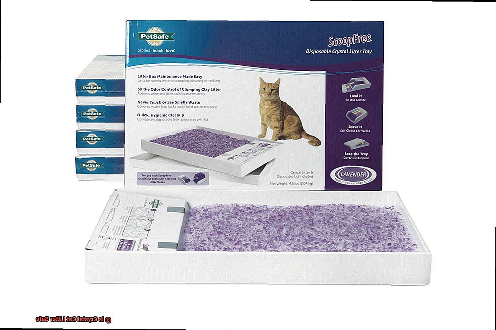 Is Crystal Cat Litter Safe-2