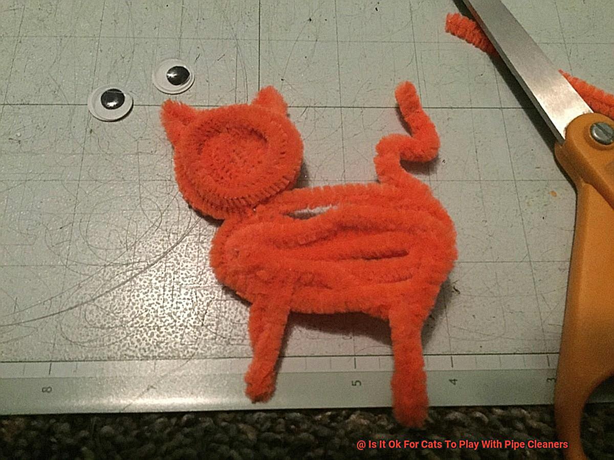 Is It Ok For Cats To Play With Pipe Cleaners-2