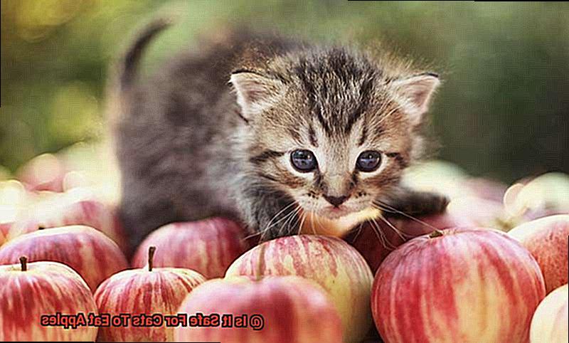 Is It Safe For Cats To Eat Apples-2