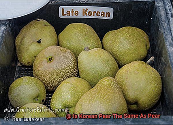 Is Korean Pear The Same As Pear-2