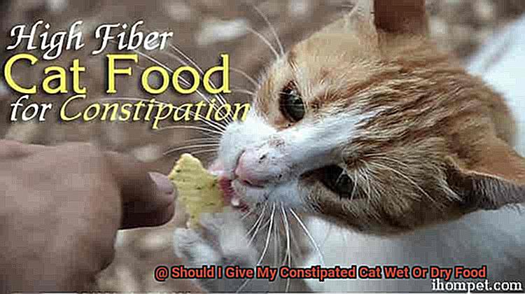Should I Give My Constipated Cat Wet Or Dry Food-2