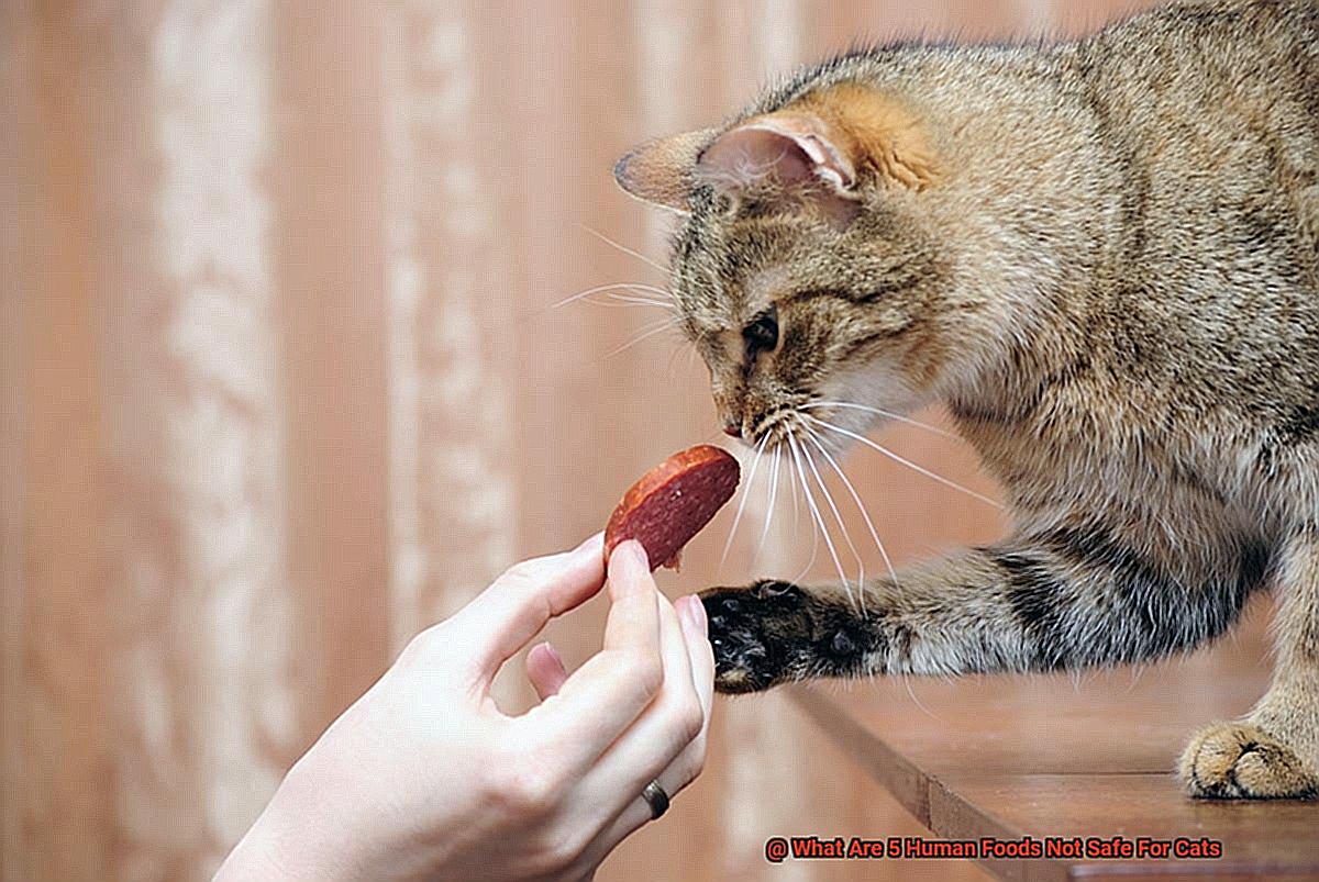 What Are 5 Human Foods Not Safe For Cats-2