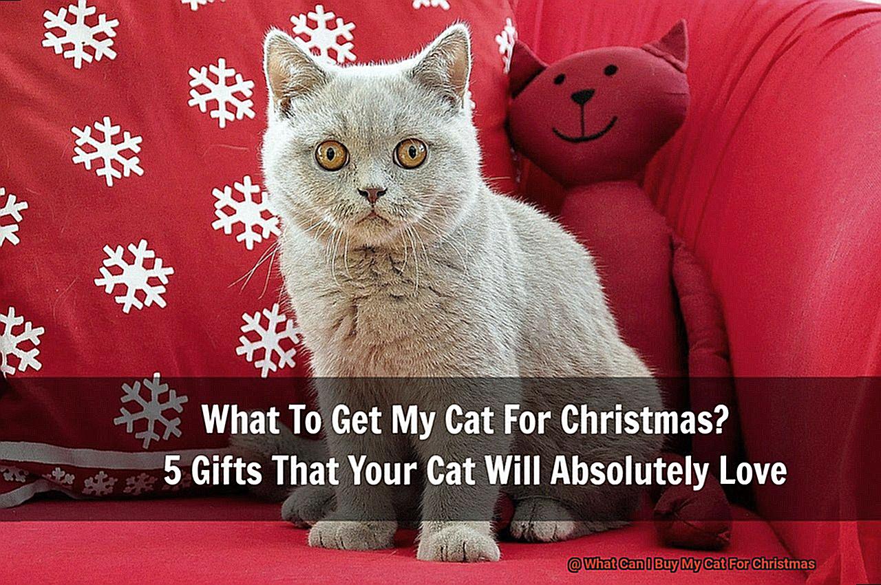 What Can I Buy My Cat For Christmas-2