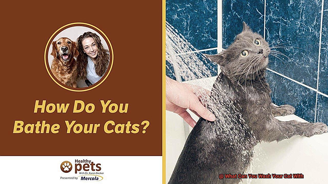 What Can You Wash Your Cat With-2