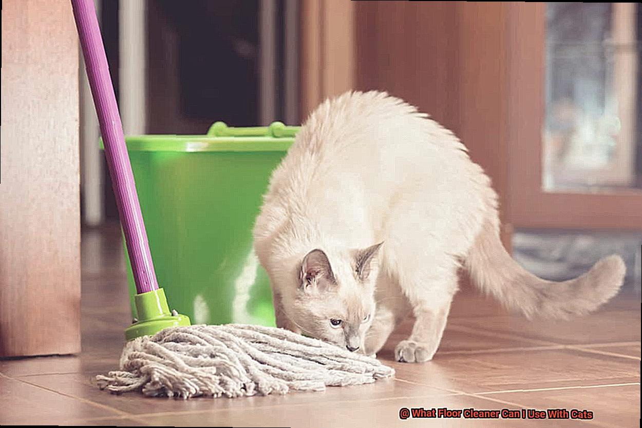 What Floor Cleaner Can I Use With Cats-2