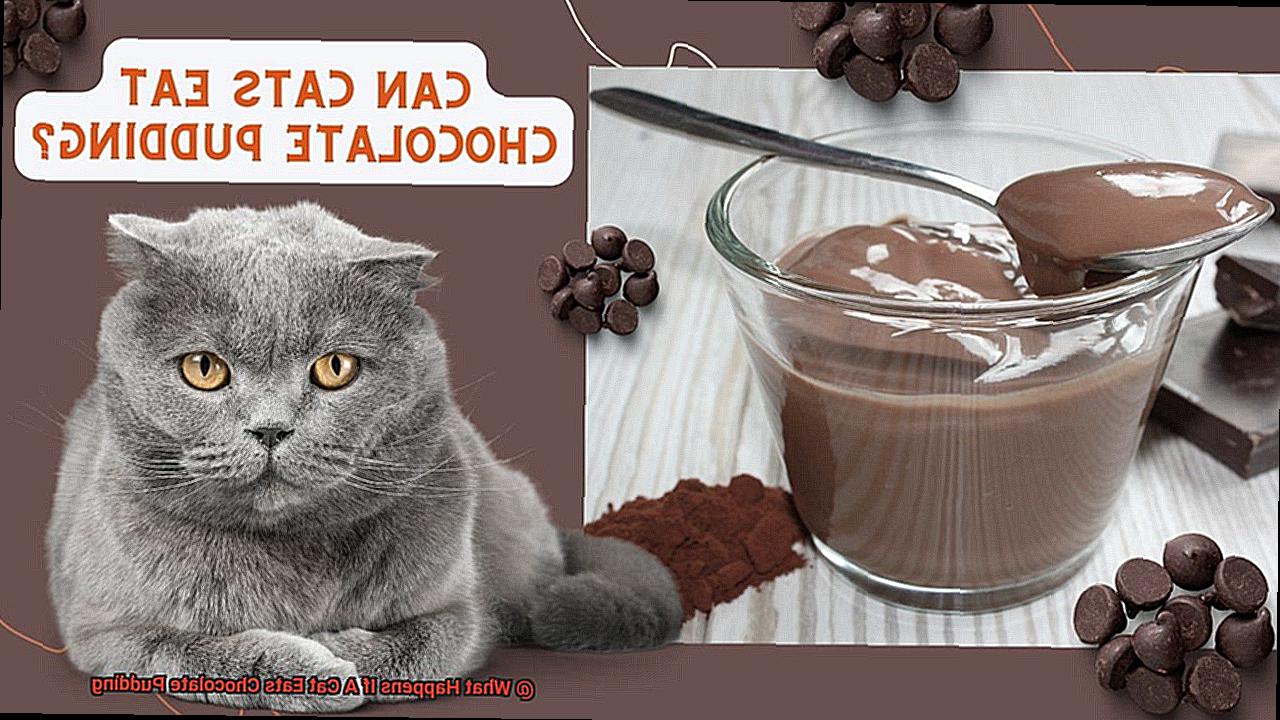 What Happens If A Cat Eats Chocolate Pudding-2