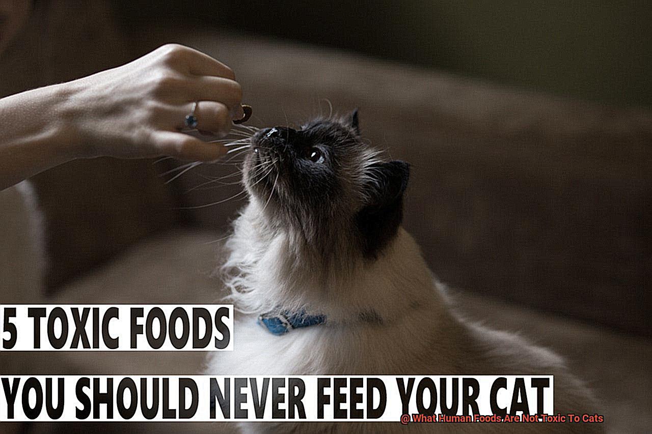 What Human Foods Are Not Toxic To Cats-2