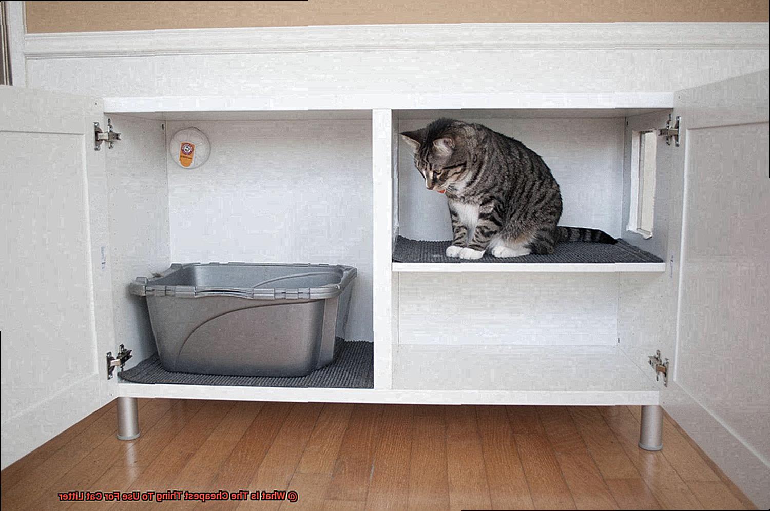 What Is The Cheapest Thing To Use For Cat Litter-2