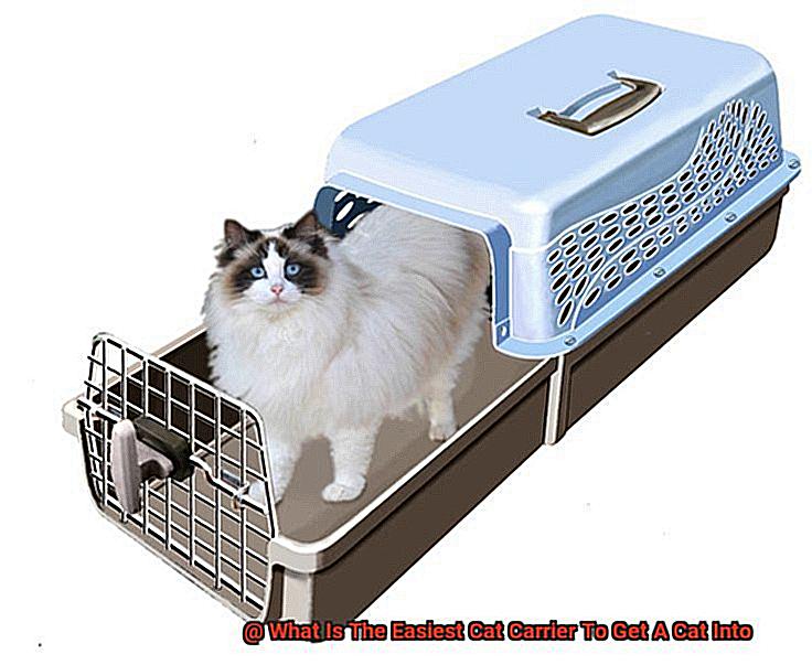 What Is The Easiest Cat Carrier To Get A Cat Into-2